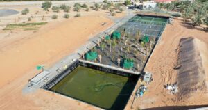 UAE Regulatory Compliance Drives Sustainable Agriculture in Sharjah Desert