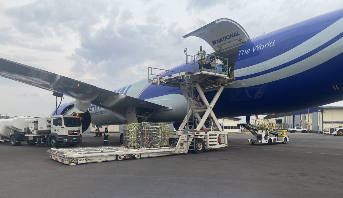 UAE Commercial Law: Rwandan Avocado Trade and Market Entry Regulations