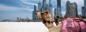 UAE Intellectual Property: Understanding Divisional Patent Applications